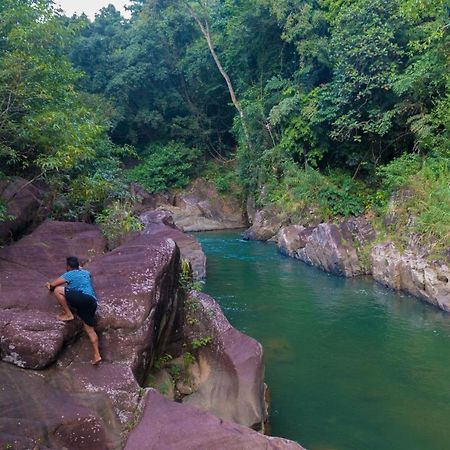 Jungle River Ginigathena Dış mekan fotoğraf