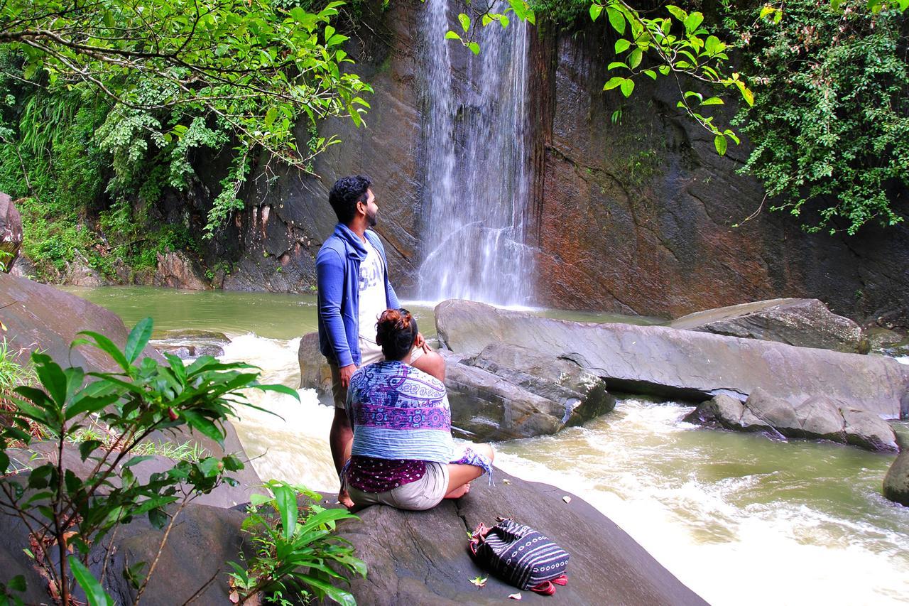 Jungle River Ginigathena Dış mekan fotoğraf