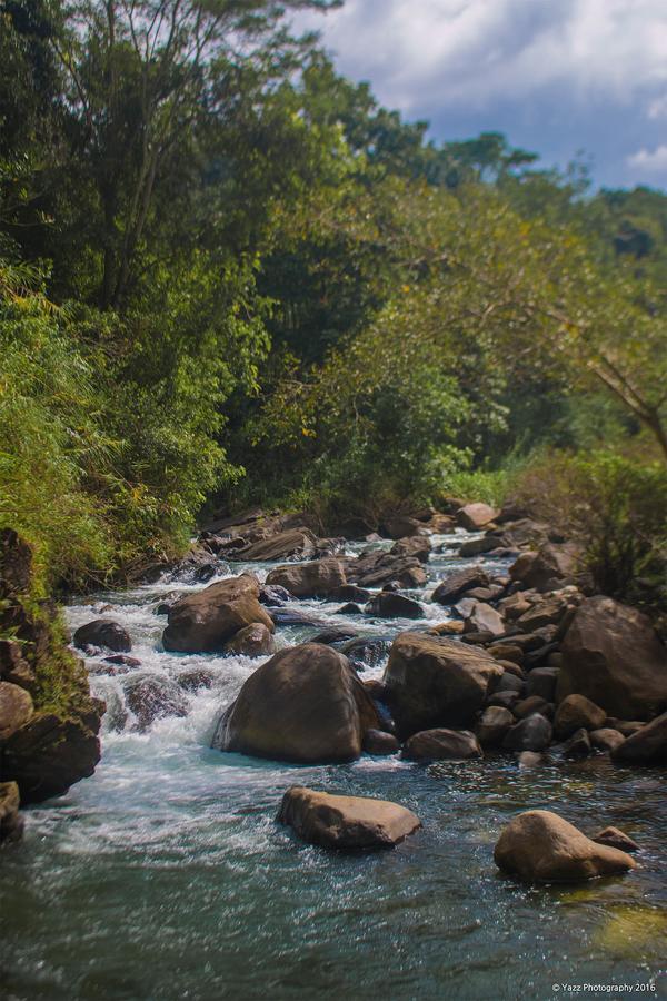 Jungle River Ginigathena Dış mekan fotoğraf