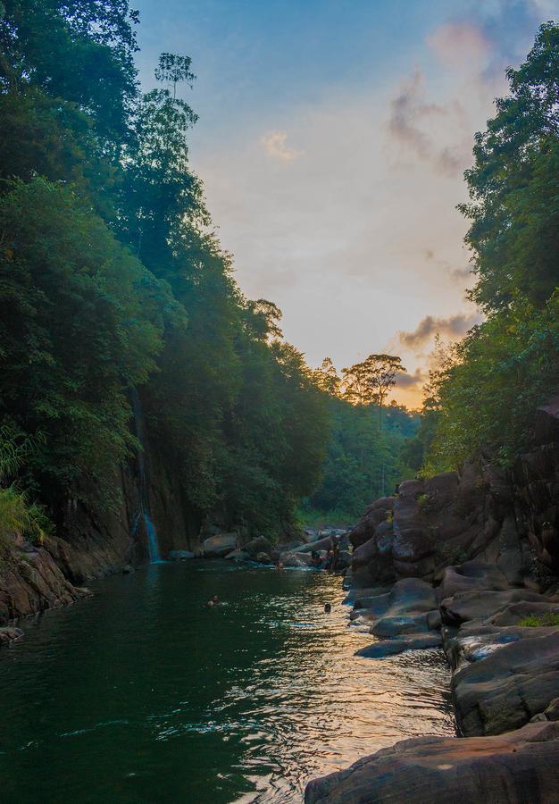 Jungle River Ginigathena Dış mekan fotoğraf