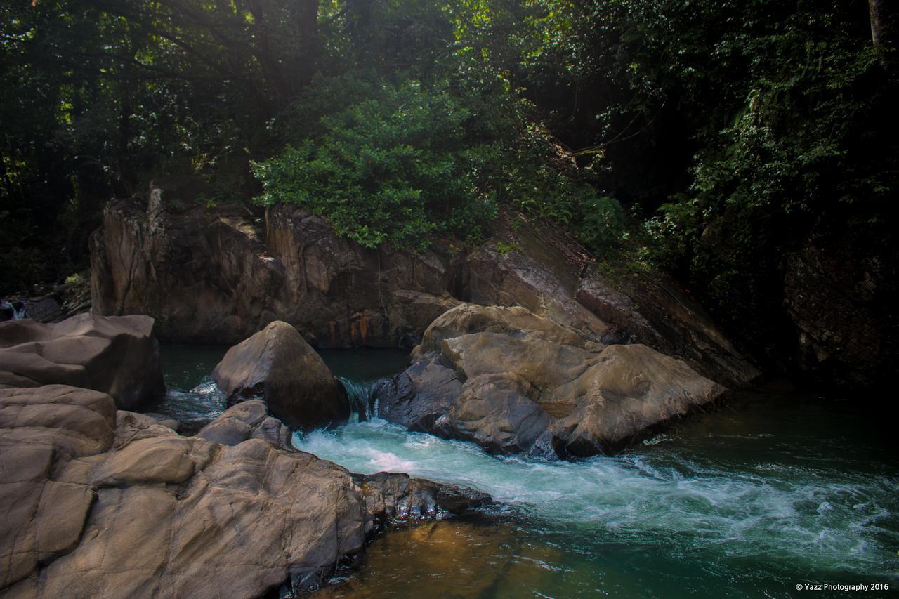 Jungle River Ginigathena Dış mekan fotoğraf