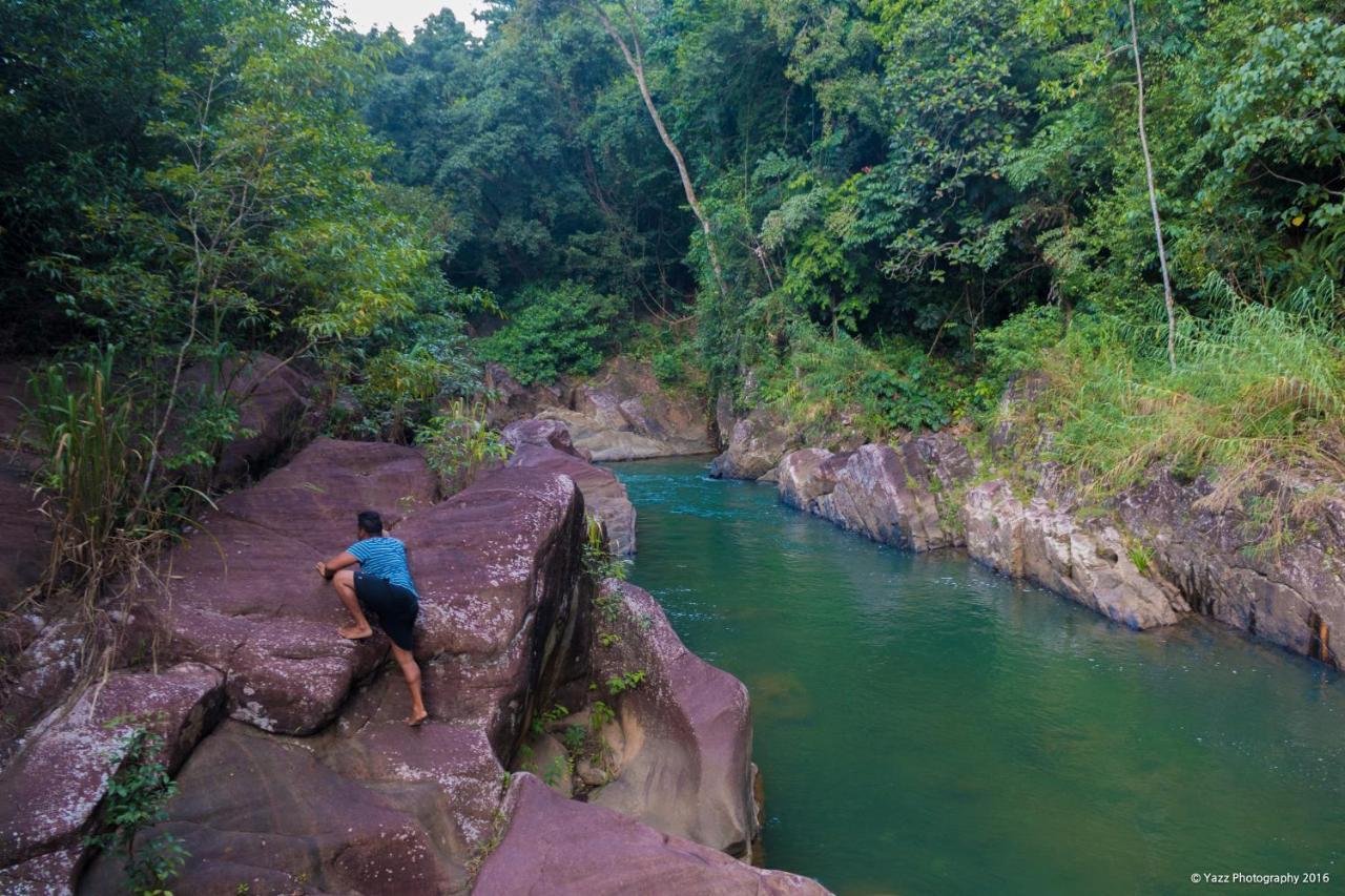 Jungle River Ginigathena Dış mekan fotoğraf