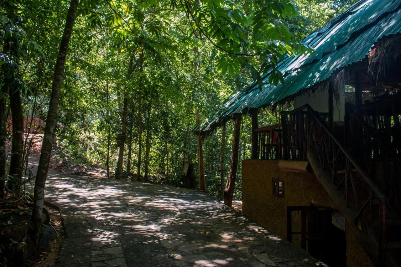 Jungle River Ginigathena Dış mekan fotoğraf